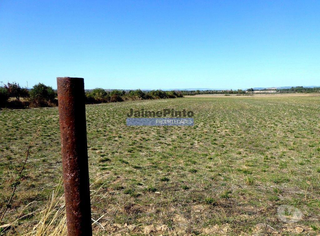 Terrenos Figueira de Castelo Rodrigo - Fotos para 580 000m2 terreno agrícola. Portugal, Guarda, F. C. Rodrigo.