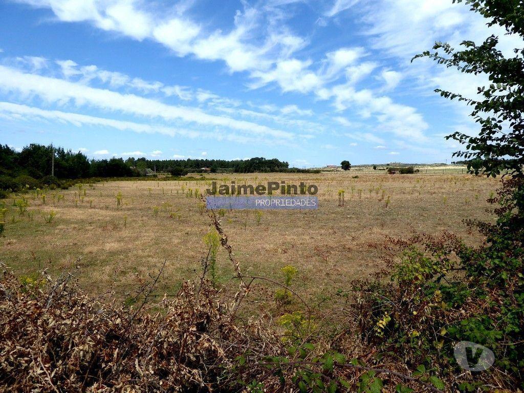 Terrenos Figueira de Castelo Rodrigo - Fotos para 580 000m2 terreno agrícola. Portugal, Guarda, F. C. Rodrigo.