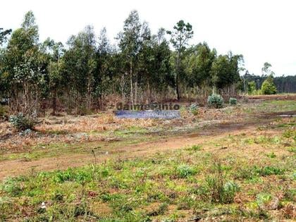 Terrenos - Fotos para Terreno p construção Indústria ou Logística. Portugal, Aveiro,