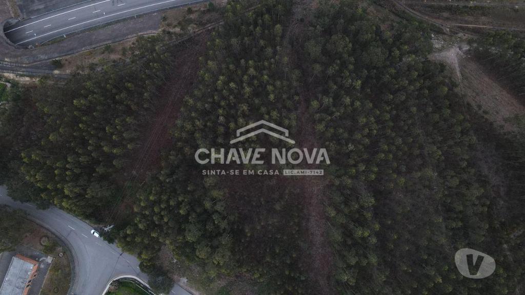 Terrenos Vila Nova de Gaia - Fotos para Vila-nova-de-gaia-Terreno em Olival (OD 01460)