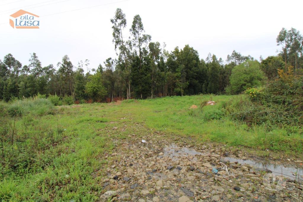 Terrenos Santa Maria da Feira - Fotos para Terreno com projeto aprovado em Rio Meão Zona Industrial com