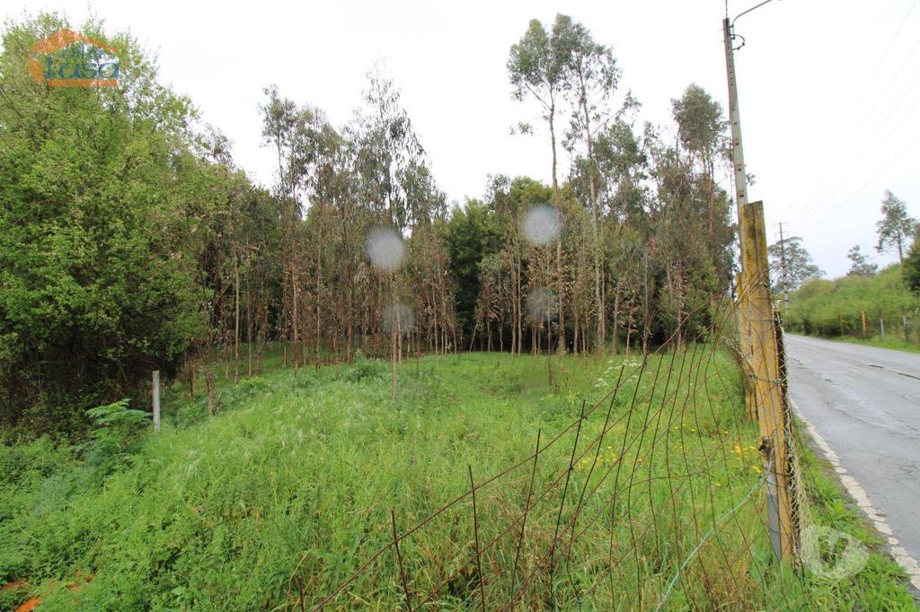 Terrenos Santa Maria da Feira - Fotos para Terreno com projeto aprovado em Rio Meão Zona Industrial com