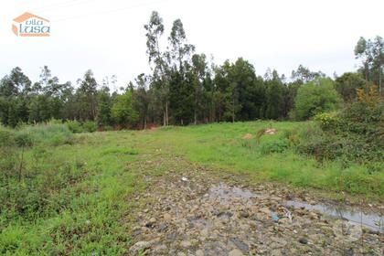 Terrenos e Quintas - Fotos para Terreno com projeto aprovado em Rio Meão Zona Industrial com