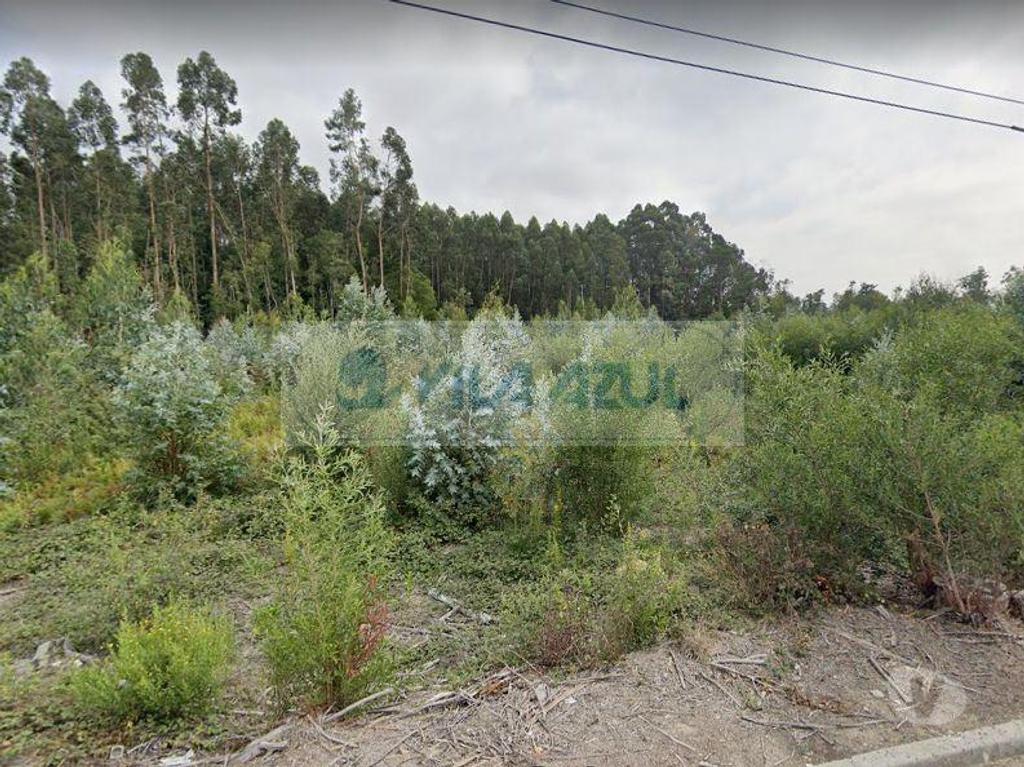 Terrenos Maia - Fotos para Maia-Terreno - Folgosa - Maia (12200021)