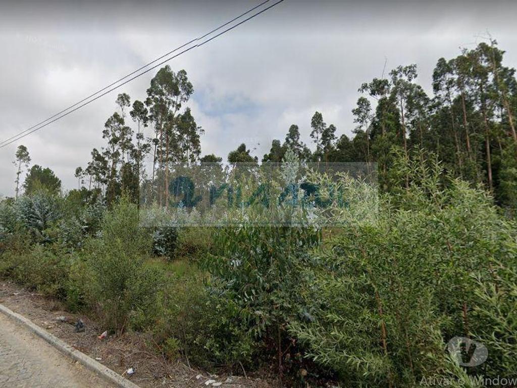 Terrenos Maia - Fotos para Maia-Terreno - Folgosa - Maia (12200021)