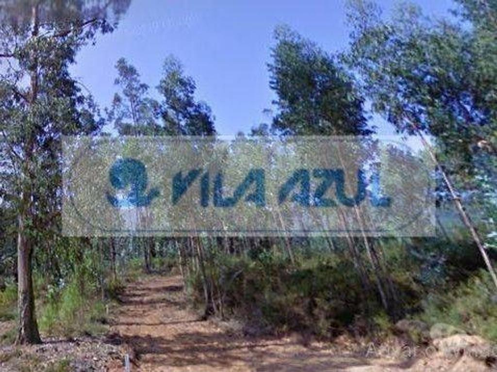 Terrenos Gondomar - Fotos para Terreno em Melres - a 10 mts de praias fluviais (Douro) -