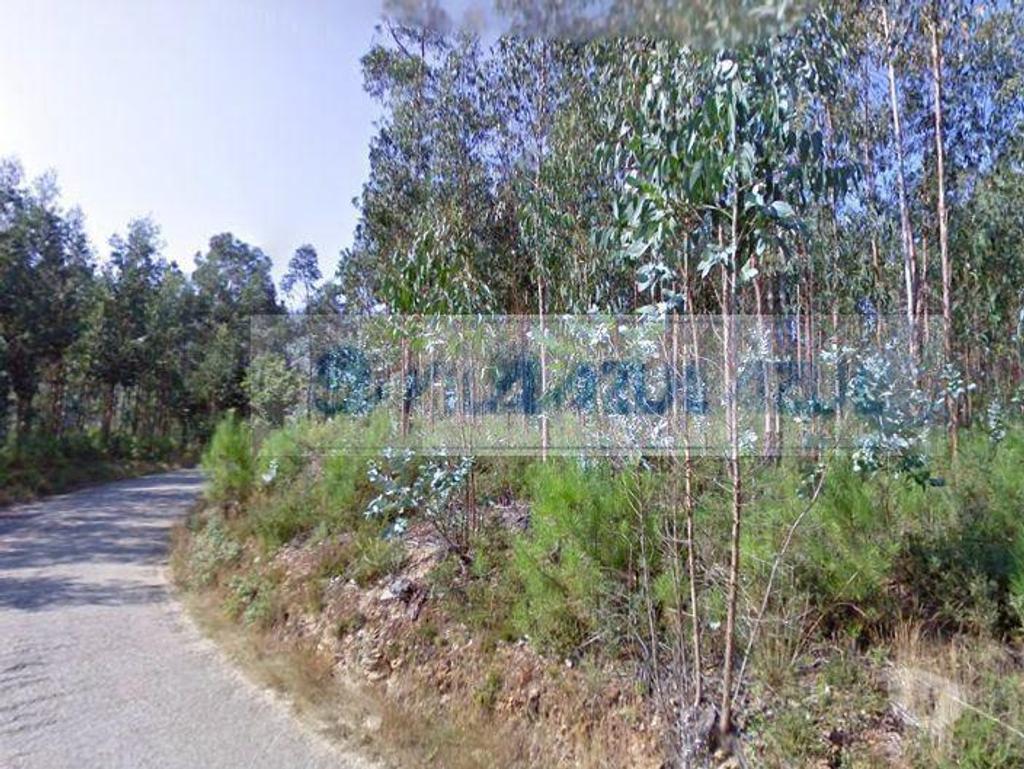 Terrenos Gondomar - Fotos para Terreno em Melres - a 10 mts de praias fluviais (Douro) -