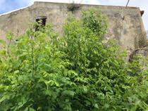 Terreno urbano no centro Monte de Caparica para edifício com...