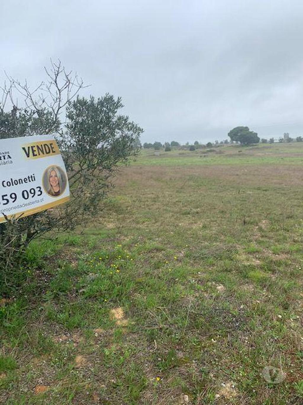 Terrenos Palmela - Fotos para Vendo 6 quintinhas cada uma com área de 7830 M2 , PODE
