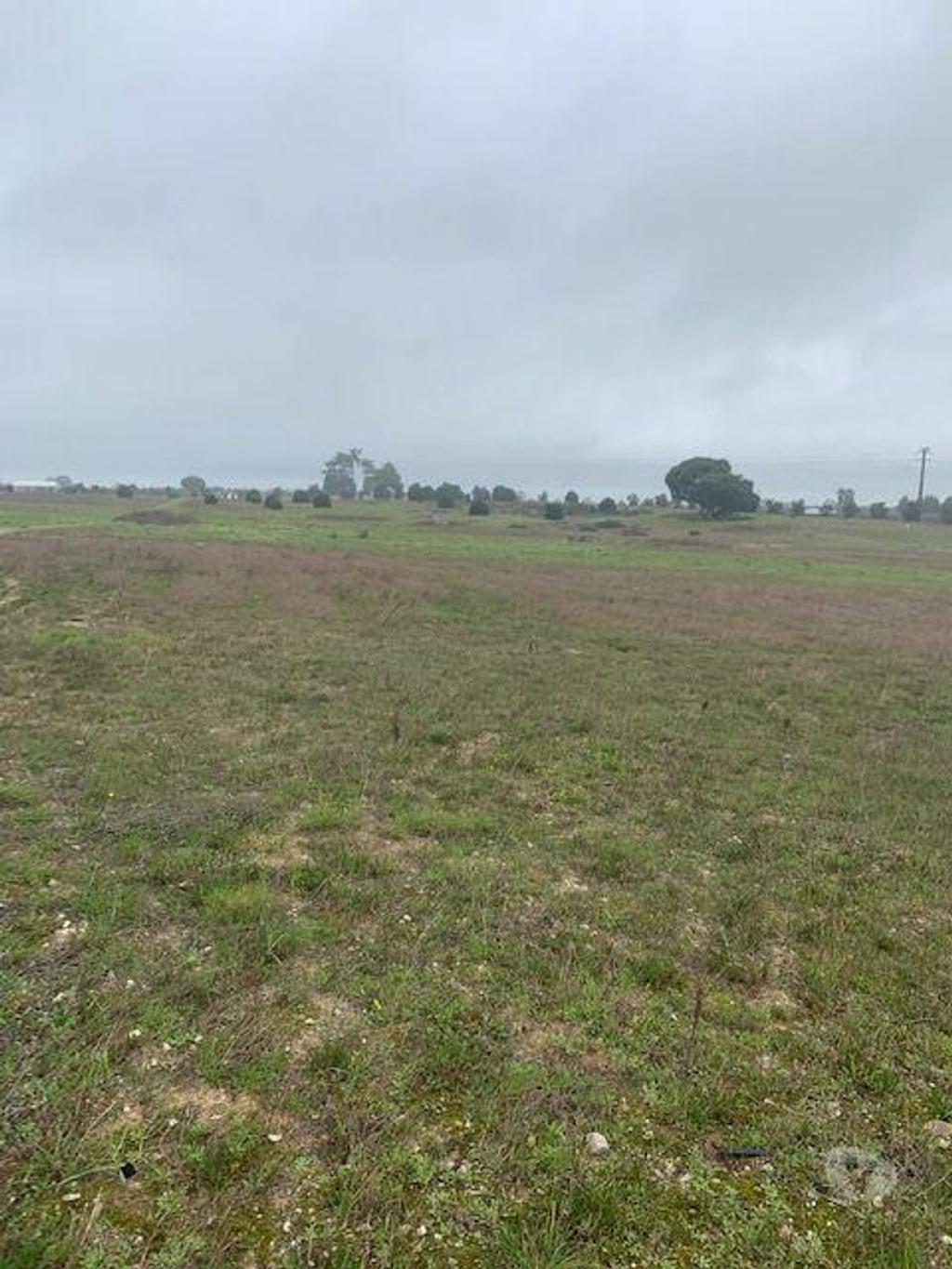 Terrenos Palmela - Fotos para Vendo 6 quintinhas cada uma com área de 7830 M2 , PODE