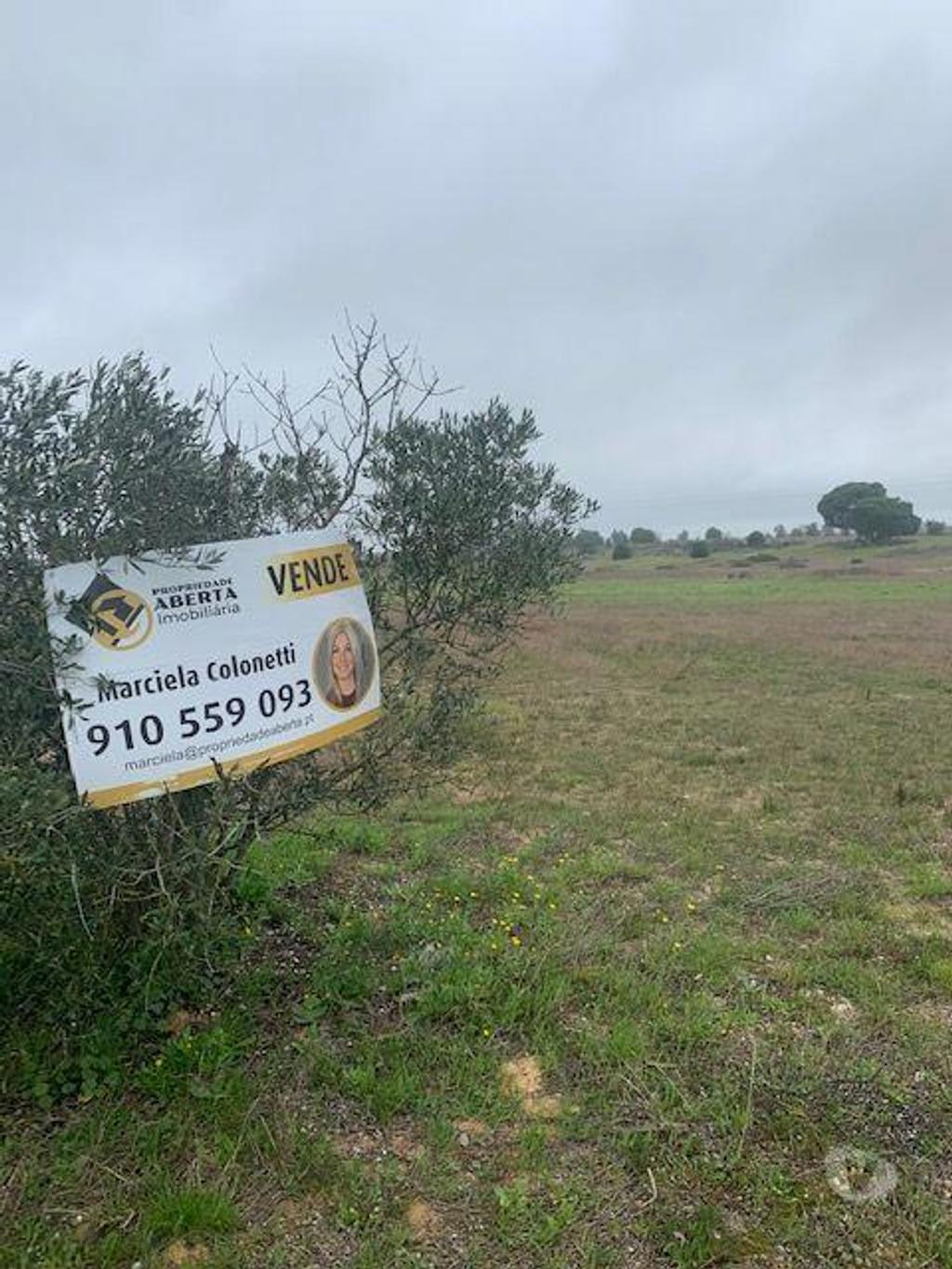Terrenos Palmela - Fotos para Vendo 6 quintinhas cada uma com área de 7830 M2 , PODE