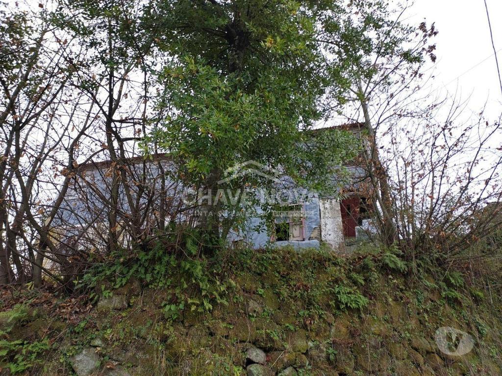 Terrenos Cinfães - Fotos para Cinfaes-Moradia Quinta em Cinfães para Restauro (MAD 01178)