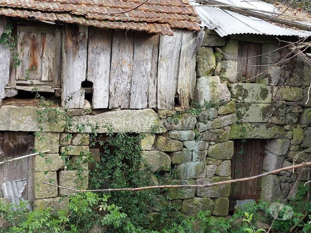 Terrenos Cinfães - Fotos para Cinfaes-Moradia Quinta em Cinfães para Restauro (MAD 01178)