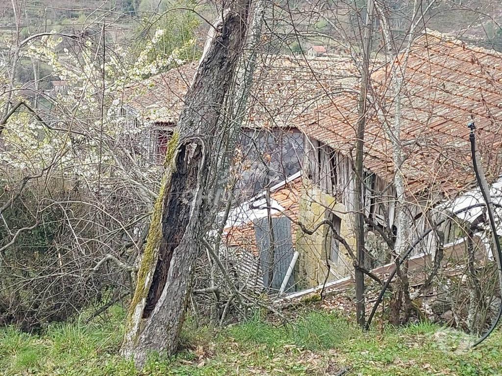 Terrenos Cinfães - Fotos para Cinfaes-Moradia Quinta em Cinfães para Restauro (MAD 01178)