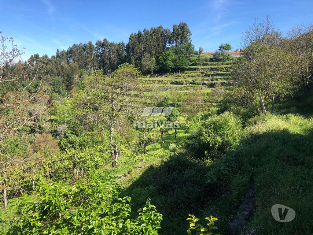 Apartamentos a venda Vila Verde - Fotos para Moradia individual, para venda, Vila Verde - Sande, Vilarinho,