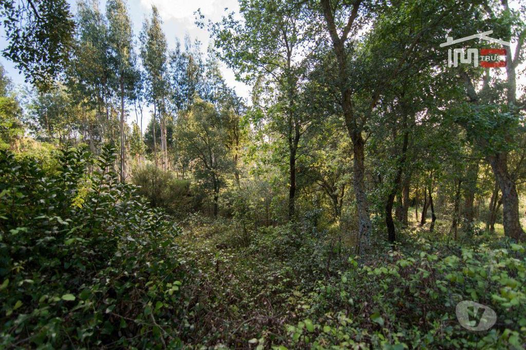 Terrenos Ourém - Fotos para Ourem-Terreno para construção, de moradia. (1-T-000452)