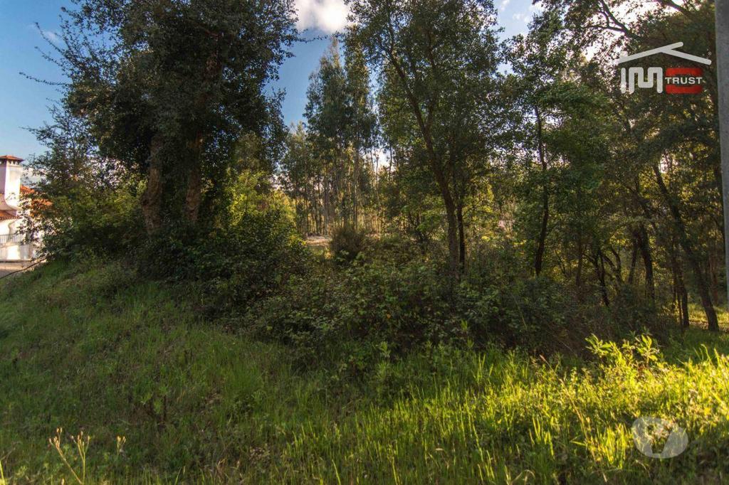 Terrenos Ourém - Fotos para Ourem-Terreno para construção, de moradia. (1-T-000452)