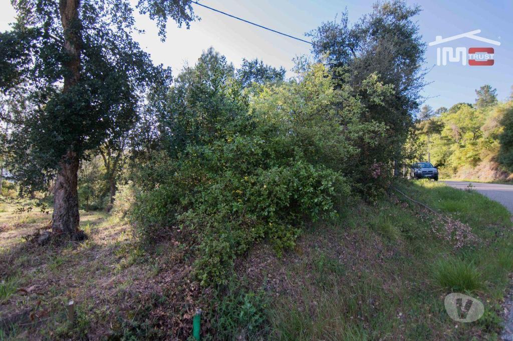 Terrenos Ourém - Fotos para Ourem-Terreno para construção, de moradia. (1-T-000452)