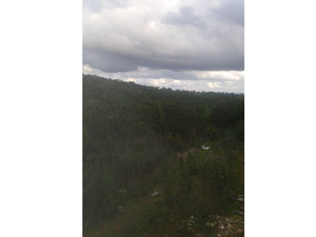 Terrenos Avis - Fotos para Monte alentejano, para venda, Avis - Alcórrego e Maranhão