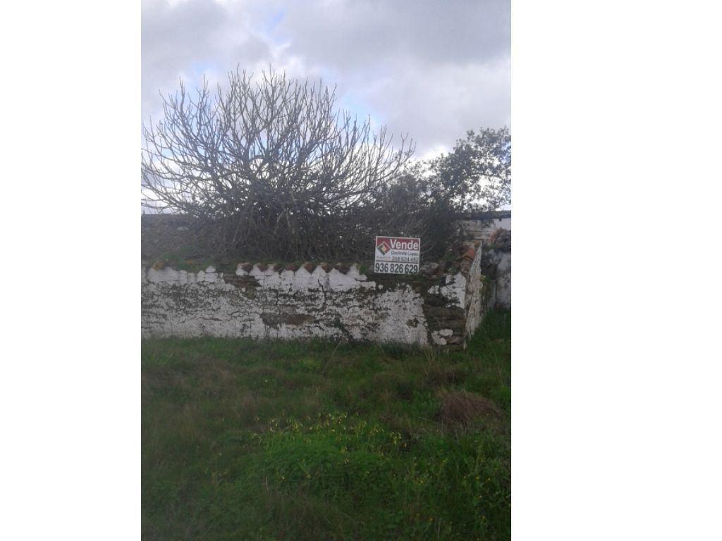 Terrenos Avis - Fotos para Monte alentejano, para venda, Avis - Alcórrego e Maranhão