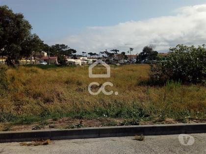 Terrenos a venda - Fotos para Localização: Praia da Vieira------Terreno rústico com a área de