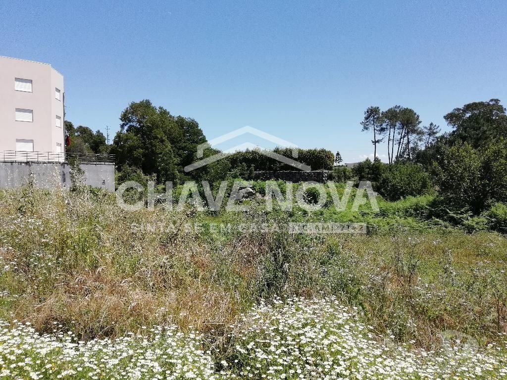 Terrenos Paredes - Fotos para Paredes-Terreno em Paredes (OD2 00403)