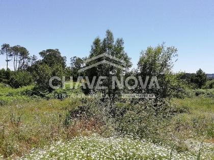 Terrenos - Fotos para Paredes-Terreno em Paredes (OD2 00403)