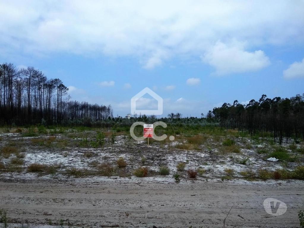 Terrenos Marinha Grande - Fotos para Terreno com pinhal com a área de 2.000 m2, a, localizado na zona