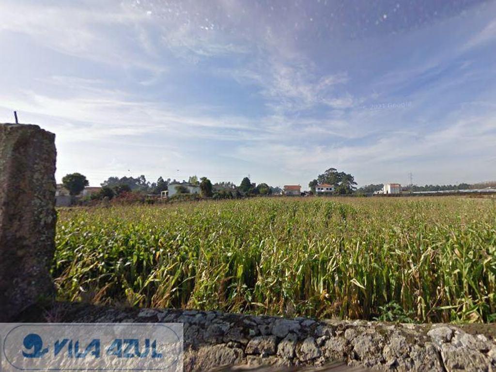 Terrenos Vila do Conde - Fotos para Terreno com 3 frentes construção de moradias - Malta - Vila do