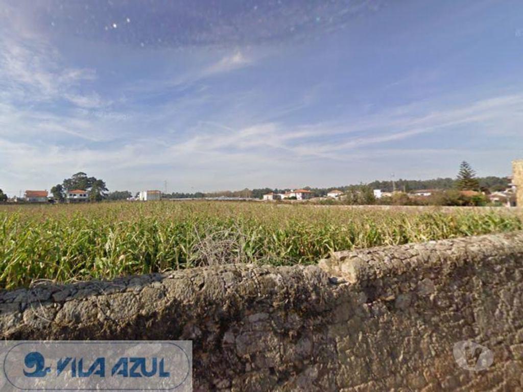 Terrenos Vila do Conde - Fotos para Terreno com 3 frentes construção de moradias - Malta - Vila do