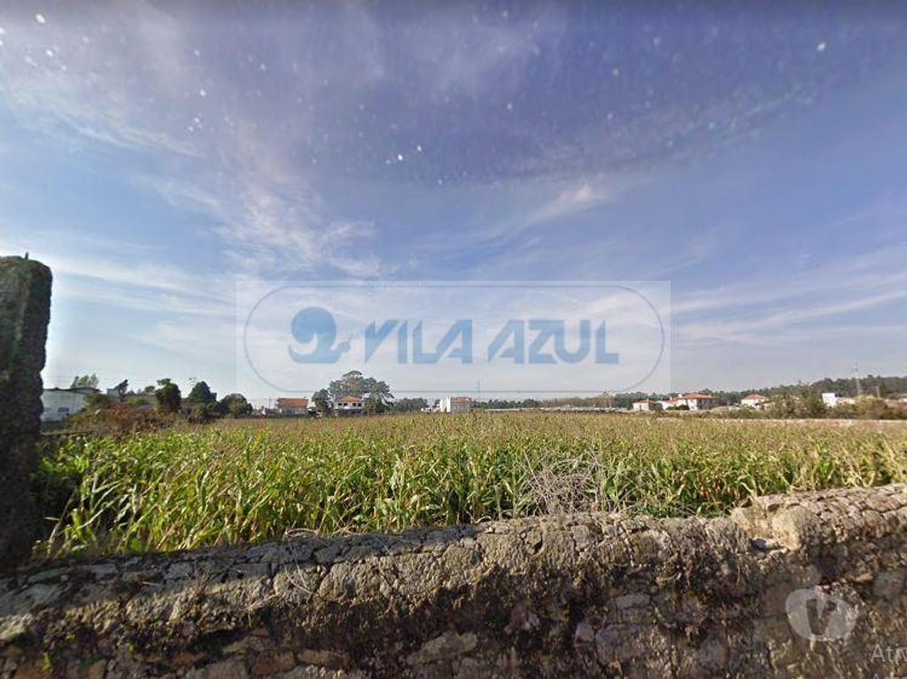 Terrenos Vila do Conde - Fotos para Terreno com 3 frentes construção de moradias - Malta - Vila do