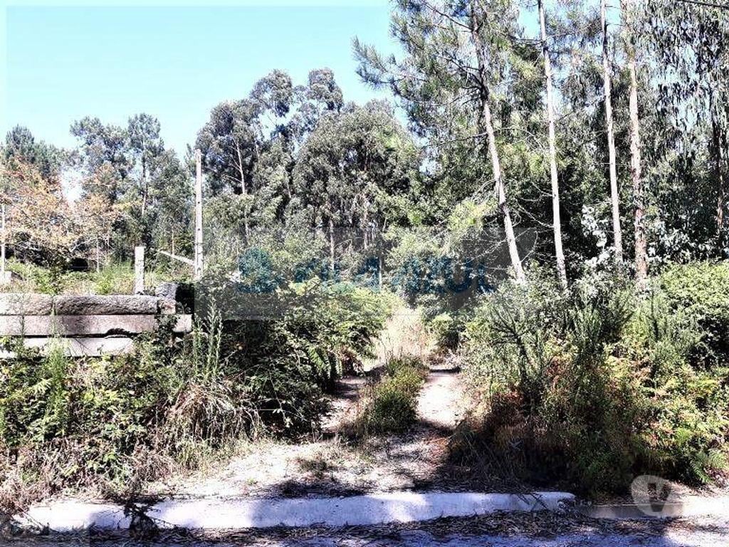 Terrenos Vila do Conde - Fotos para Terreno Rústico - 2 Bouças em Canidelo - Vila do Conde (12200047)