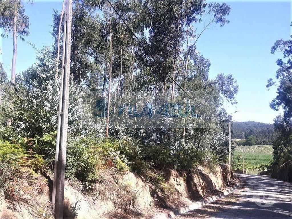 Terrenos Vila do Conde - Fotos para Terreno Rústico - 2 Bouças em Canidelo - Vila do Conde (12200047)