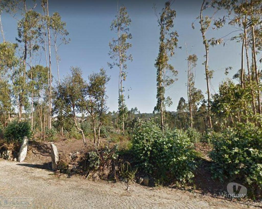 Terrenos Vila do Conde - Fotos para Terreno Rústico - 2 Bouças em Canidelo - Vila do Conde (12200047)