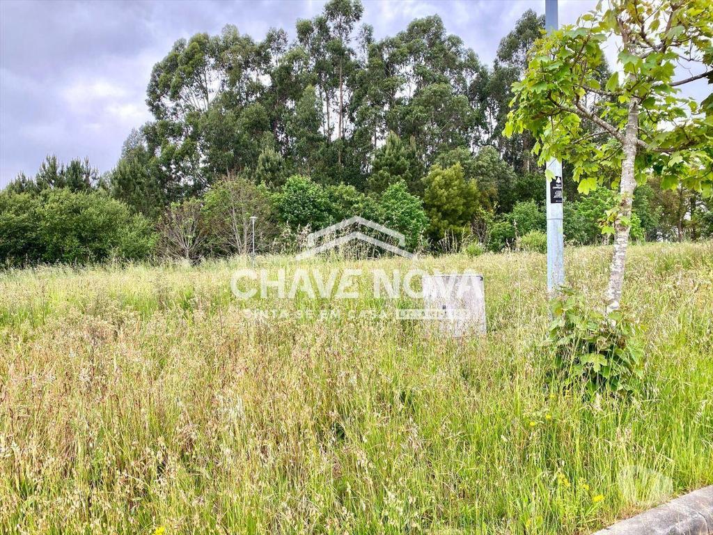 Terrenos Santa Maria da Feira - Fotos para Lote Terreno p Moradia em Banda - São Miguel de Souto (SMF 02117)