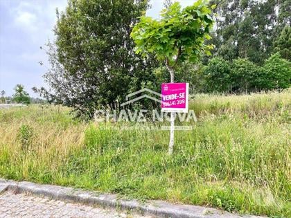 Terrenos - Fotos para Lote Terreno p Moradia em Banda - São Miguel de Souto (SMF 02117)