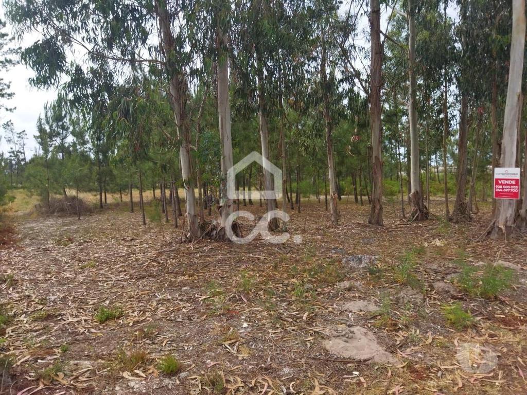 Terrenos Marinha Grande - Fotos para Terreno com a área de 3.560 m2 localizado na zona de Vieira de