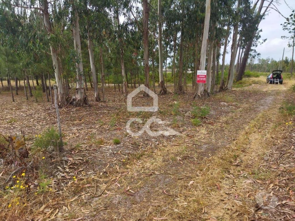 Terrenos Marinha Grande - Fotos para Terreno com a área de 3.560 m2 localizado na zona de Vieira de