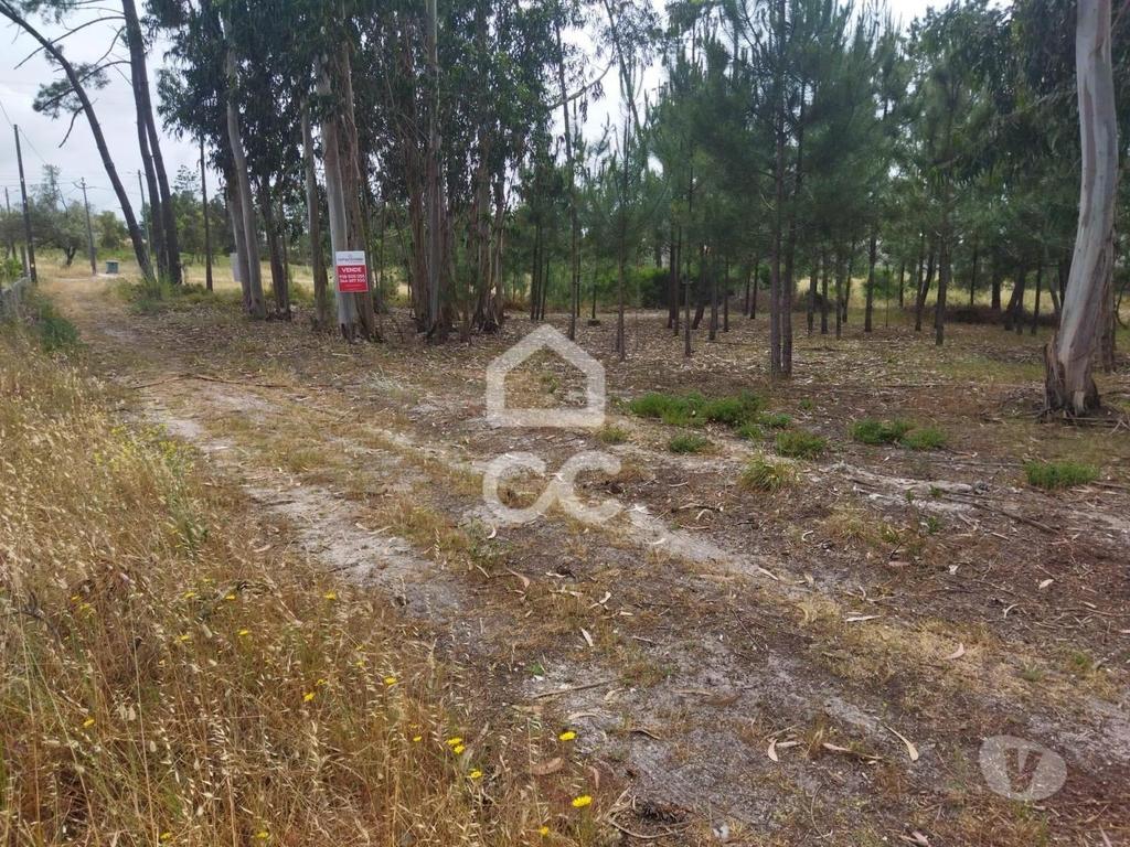 Terrenos Marinha Grande - Fotos para Terreno com a área de 3.560 m2 localizado na zona de Vieira de