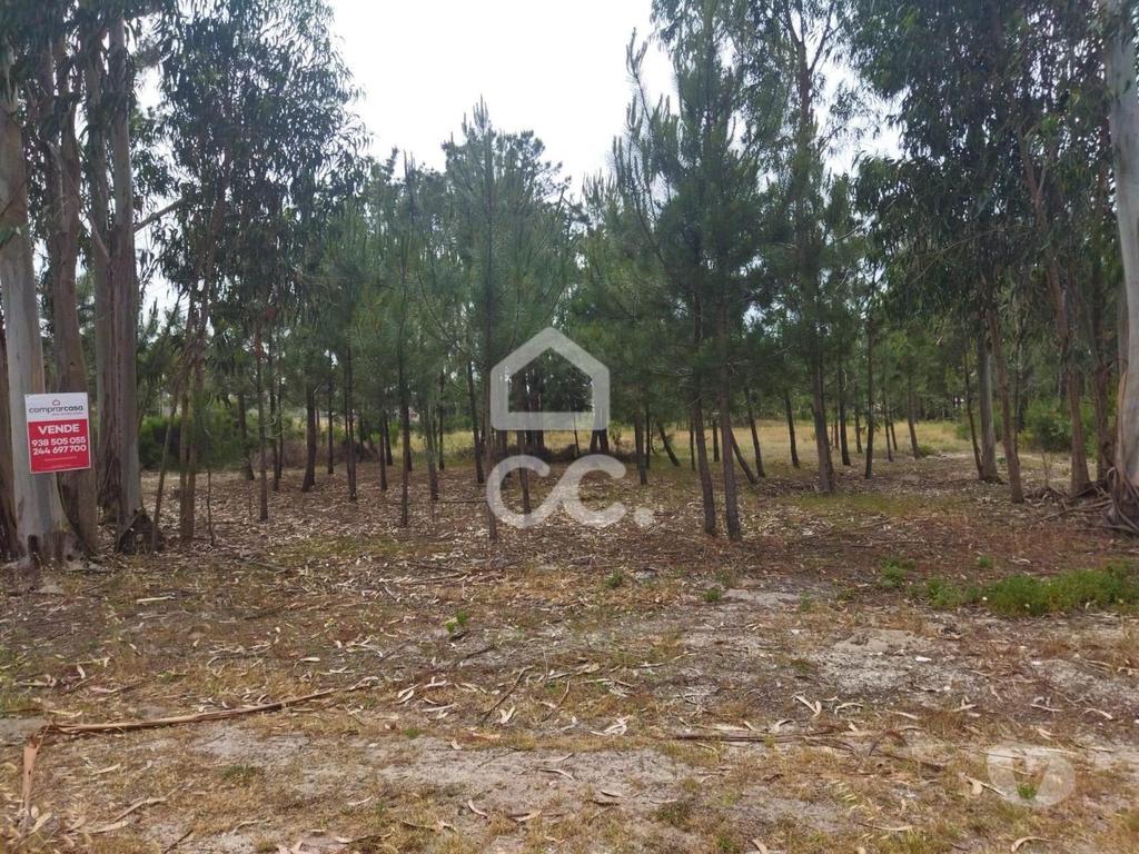 Terrenos Marinha Grande - Fotos para Terreno com a área de 3.560 m2 localizado na zona de Vieira de