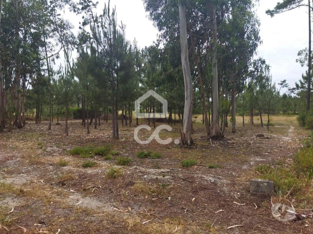 Terrenos Marinha Grande - Fotos para Terreno com a área de 3.560 m2 localizado na zona de Vieira de