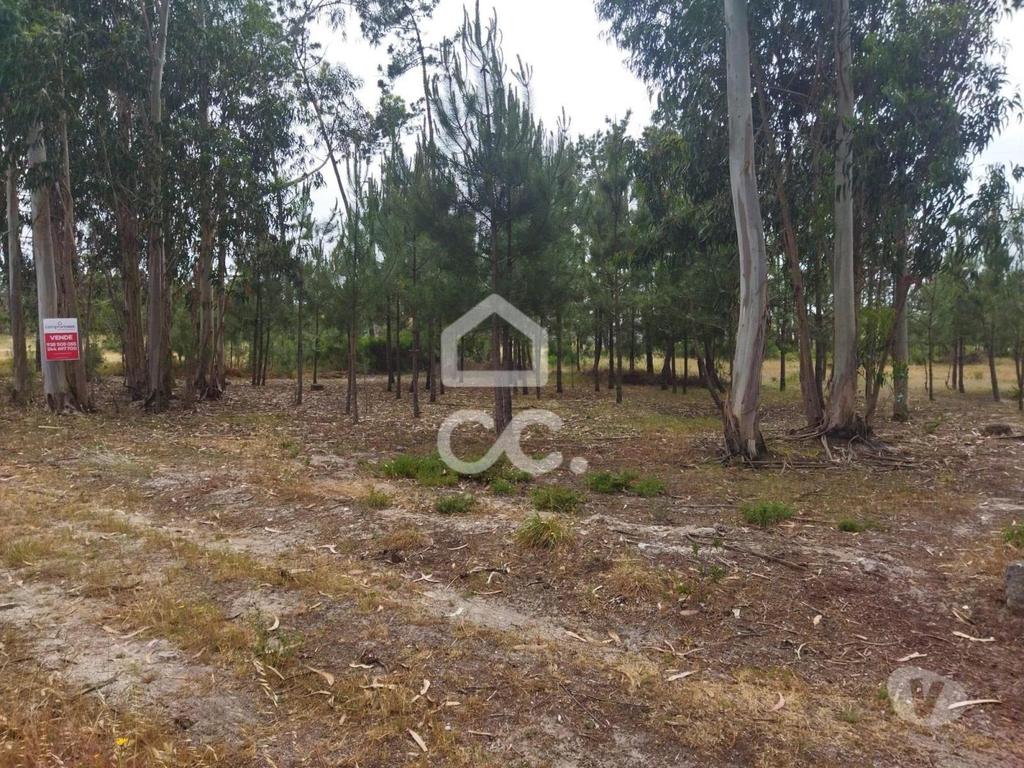 Terrenos Marinha Grande - Fotos para Terreno com a área de 3.560 m2 localizado na zona de Vieira de