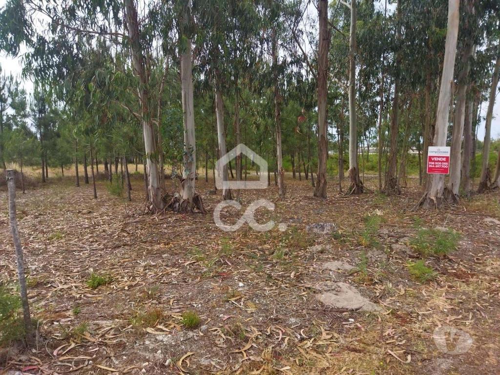 Terrenos Marinha Grande - Fotos para Terreno com a área de 3.560 m2 localizado na zona de Vieira de