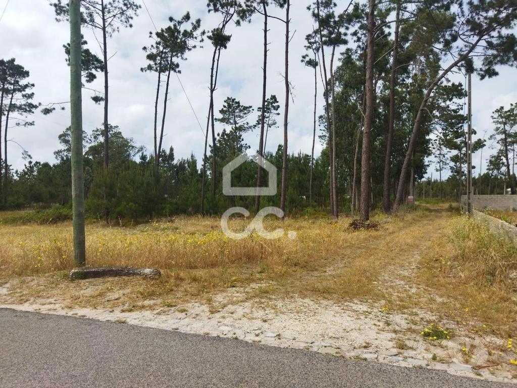 Terrenos Marinha Grande - Fotos para Terreno com a área de 3.560 m2 localizado na zona de Vieira de