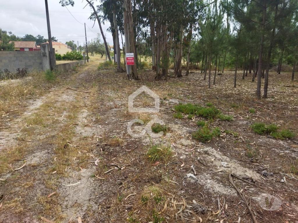 Terrenos Marinha Grande - Fotos para Terreno com a área de 3.560 m2 localizado na zona de Vieira de