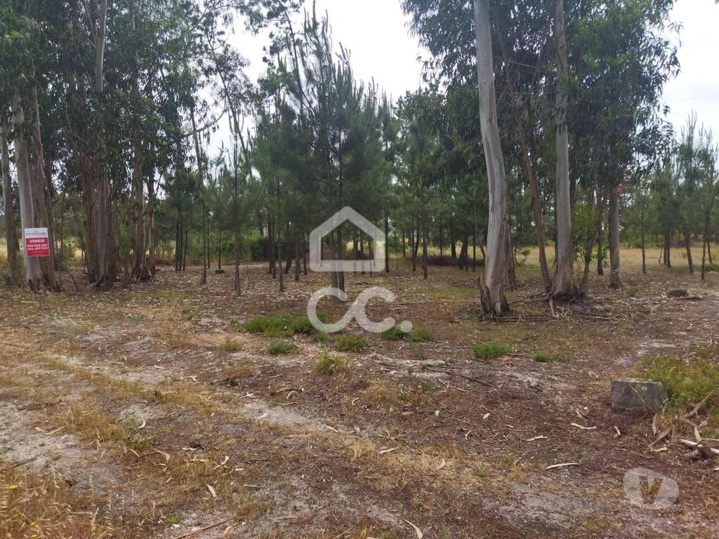 Terrenos Marinha Grande - Fotos para Terreno com a área de 3.560 m2 localizado na zona de Vieira de
