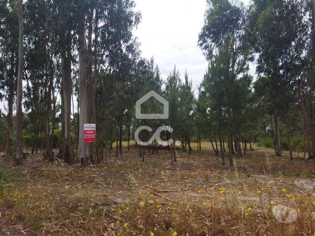 Terrenos Marinha Grande - Fotos para Terreno com a área de 3.560 m2 localizado na zona de Vieira de