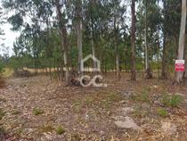 Terreno com a área de 3.560 m2 localizado na zona de Vieira de