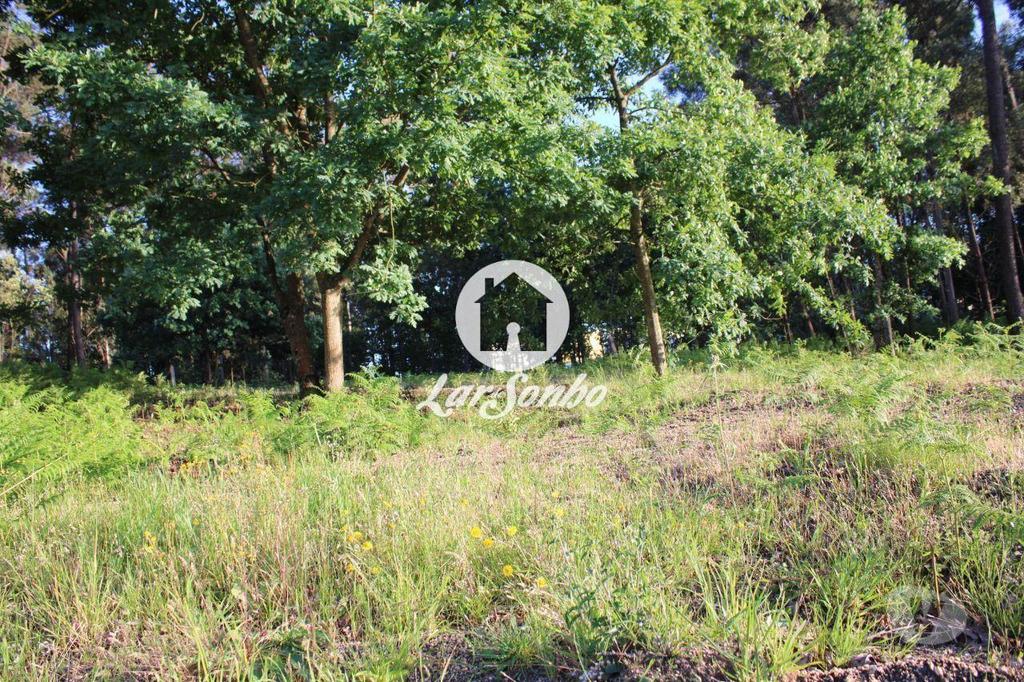 Terrenos Barcelos - Fotos para Barcelos-Terreno para construção (265-T-00935)