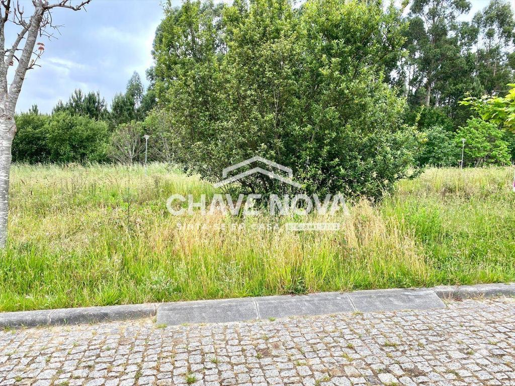 Terrenos Santa Maria da Feira - Fotos para Lote Terreno p Moradia em Banda - São Miguel de Souto (SMF 02119)
